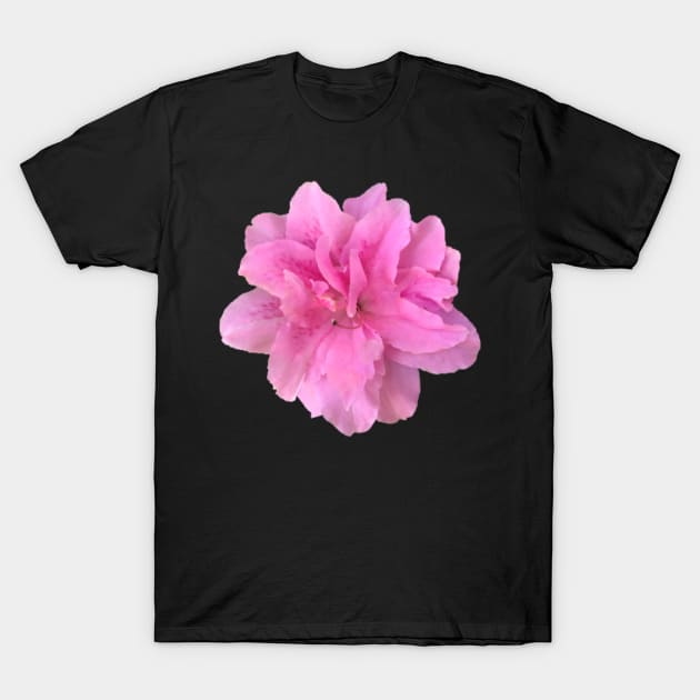 Pink Azalea Flower Close-up T-Shirt by InalterataArt